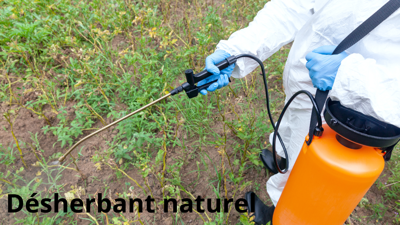 Le guide ultime du désherbant puissant : solutions naturelles et professionnelles