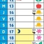 Calendrier Lunaire 2025 : Optimisez la Plantation de Vos Graines et le Soin de Vos Plantes Selon les Phases Lunaires 🌙