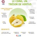 Les Bienfaits Insoupçonnés des Coings Verts sur la Santé et la Cuisine