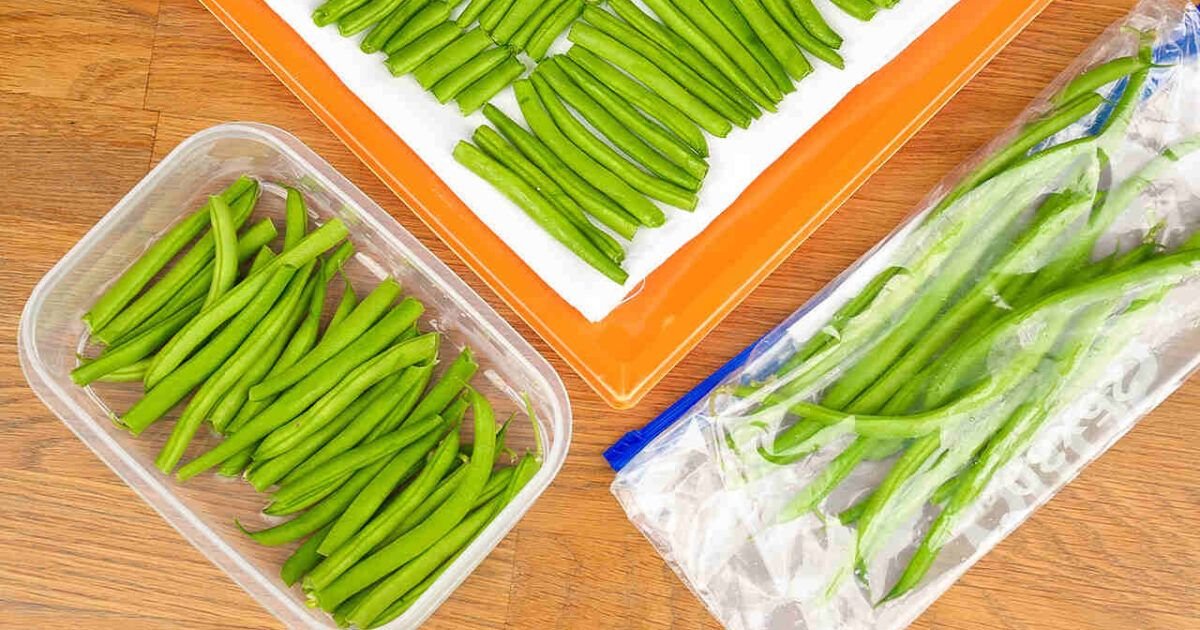 Peut-on congeler des haricots verts cuits ? Conseils et méthodes pour une conservation optimale