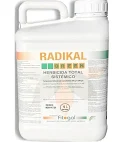 Radikal