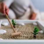 Comment faire un jardin zen miniature