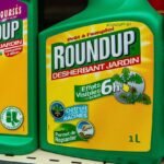 L’utilisation des désherbants glyphosate : avantages et controverses