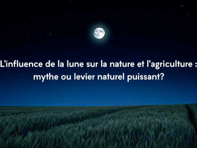 🌕 L’influence de la lune sur la nature et l’agriculture : mythe ou levier naturel puissant ?