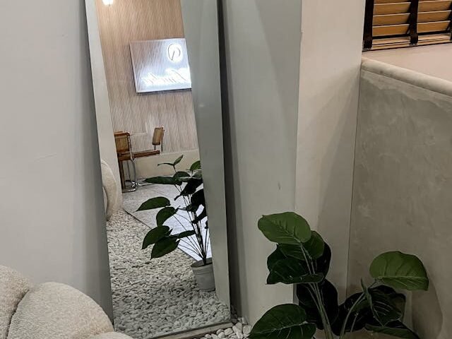 L’Alocasia : maîtriser la culture de l’oreille d’éléphant tropicale