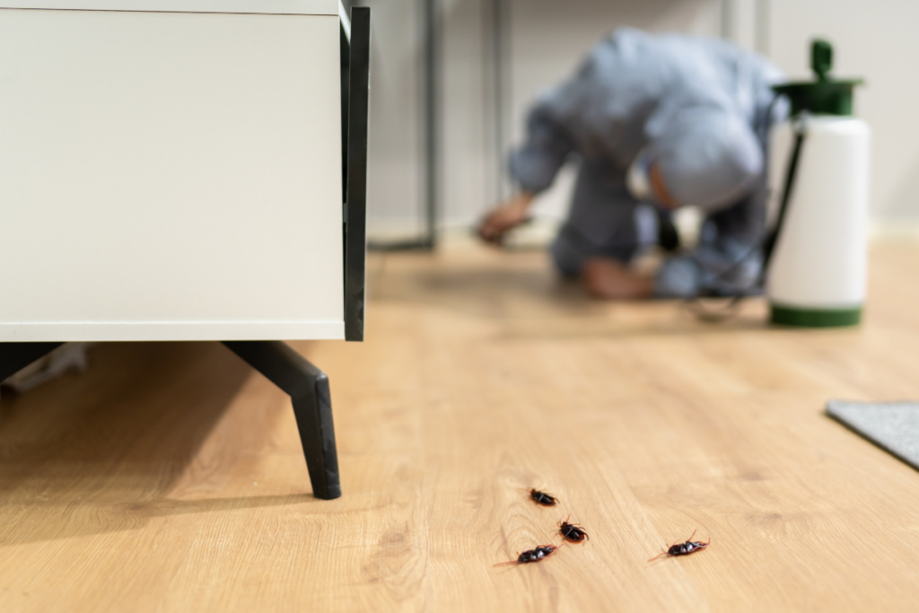 insecticides